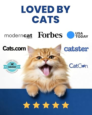 Loved by cat