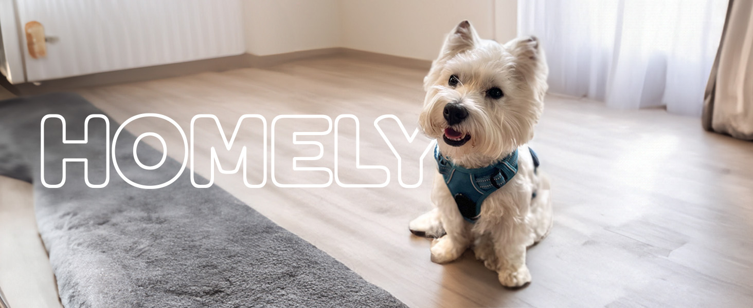 Double attachment harness for pets