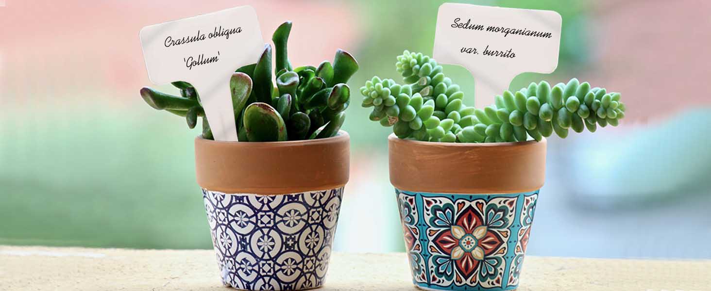 Flower Name Tag
