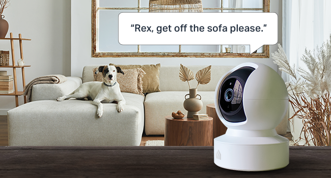 pet camera baby camera pan tilt camera