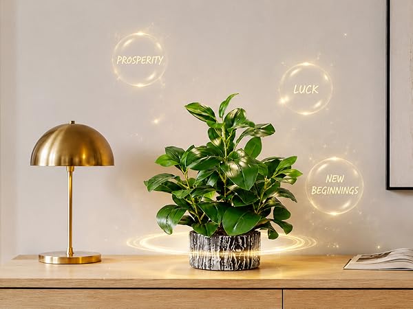 artificial money leaf potted plant prosperity luck new beginnings decor
