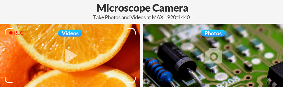microscope camera