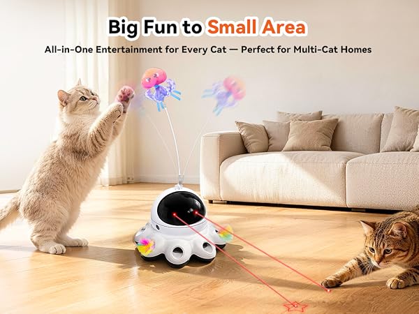 interactive cat toys