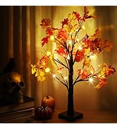 CCINEE 24 Inch Maple Tree Light with Pumpkin, LED Artificial Fall Tabletop Tree Battery Operated ...