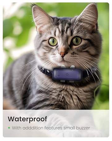 dog gps tracker