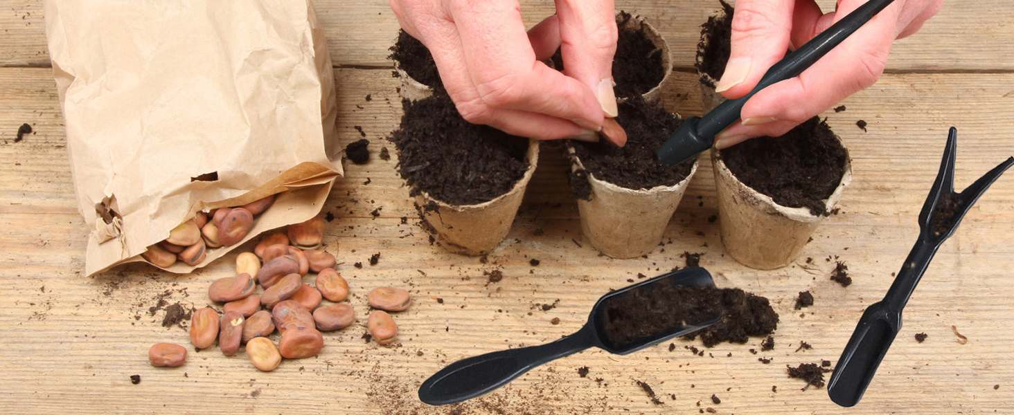 succulent tools