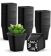 BTPLASTIK 80 Pcs Nursery Pots 4 Inch, Plastic Seed Starting Pot with Drainage Holes, Sturdy Seedl...