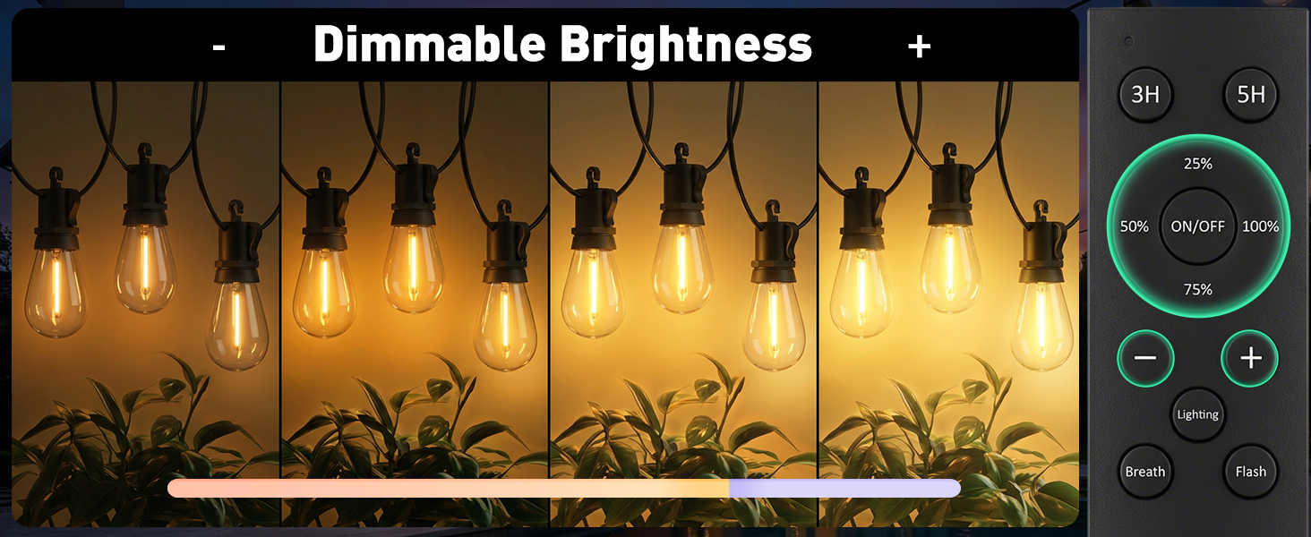 outdoor string lights with remote