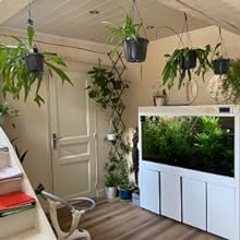 plants under vents
