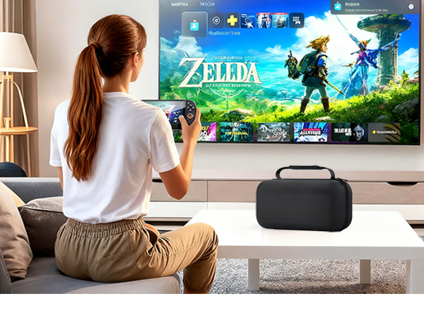 nintendo switch 2 carrying case