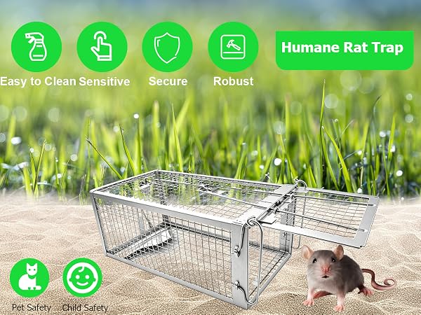 Rat Trap
