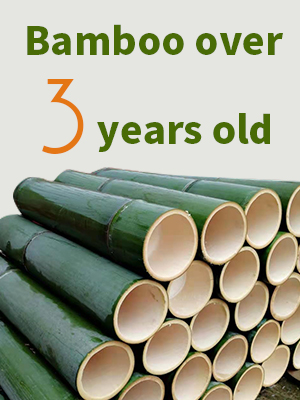 bamboo skewer for kabob