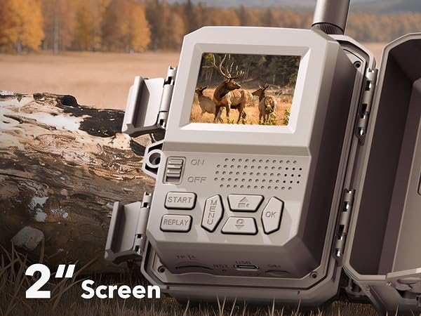 camera