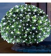 Meteds 6Ftx4Ft LED Christmas Net Lights Green Wire,Connectable UL Certified Waterptoof Net Lights...
