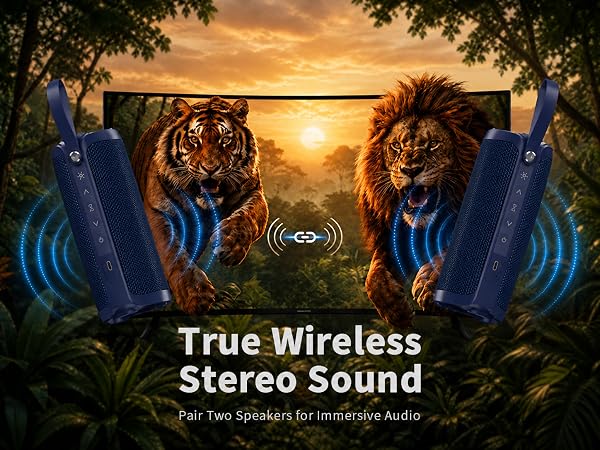 portable speaker
