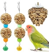 3PCS Parakeet Treat, Natural Parrots Treat Sticks for Beak Care & Supplement Nutrition, Pine Cone...