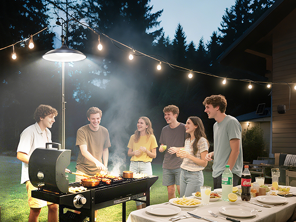 solar shed light