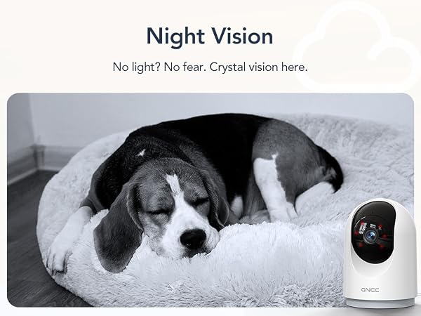 Security Camera