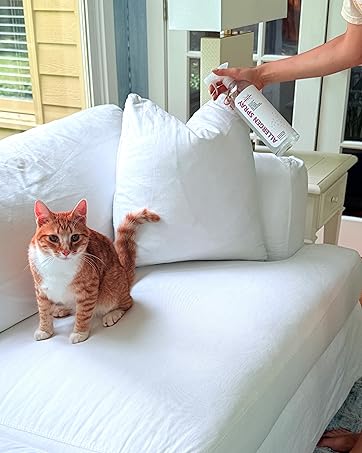 https://m.media-amazon.com/images/S/aplus-media-library-service-media/0e315ee9-cb46-4f74-8d28-3eb593a5a94d.__CR0,324,3247,4063_PT0_SX362_V1___.jpeg