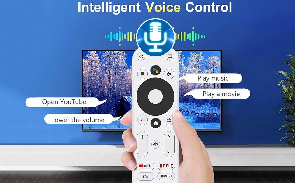 Voice Search Functions