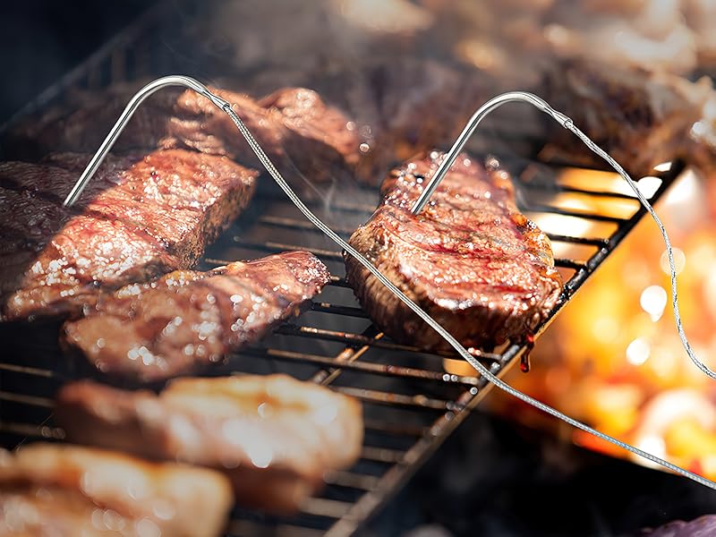 temp meat probe for traeger