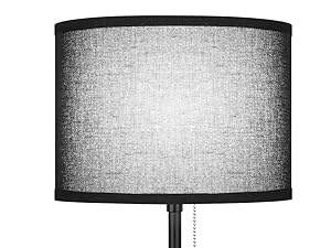 floor lamp with black shade