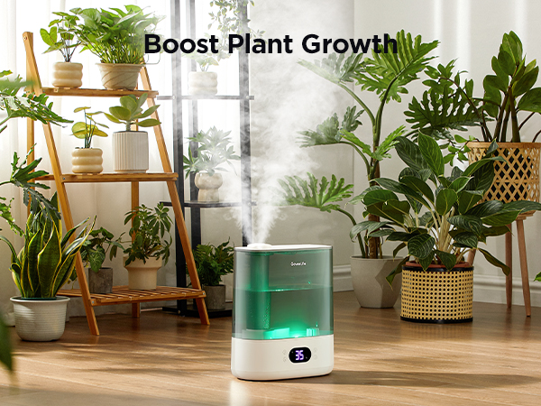 plant humidiifer