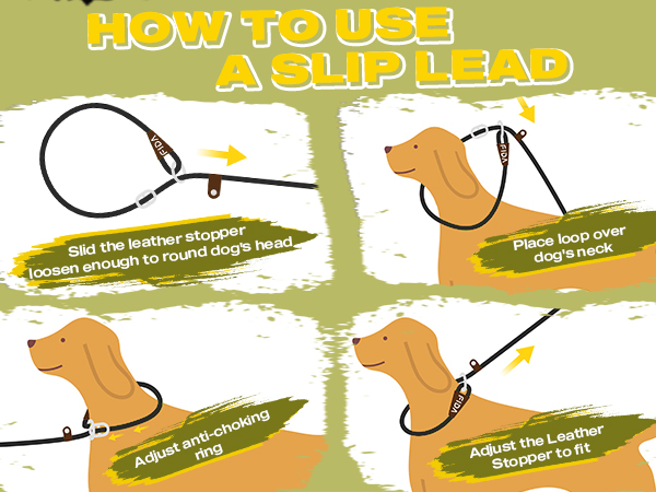 Slip Lead Dog Leash