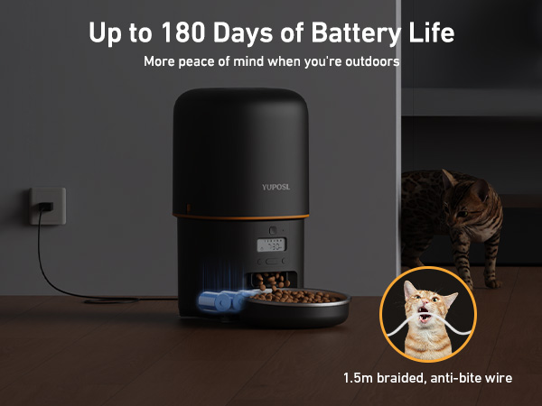 automatic cat feeder automatic cat food dispenser pet feeder