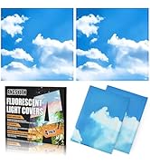 ANGSYLTH 4 Pcs Fluorescent Light Covers - 2 x 2 Feet Covers for Ceiling Lights, Magnetic Light Fi...