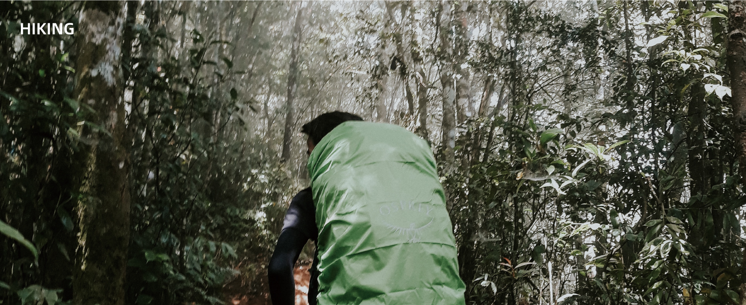 AOFAR AF-4074 Compass