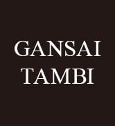 Kuretake MC20/18V Watercolor Set, 1 Count (Pack of 1), 18 Colors