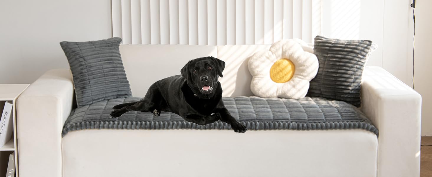 Dark Grey Couch Cover