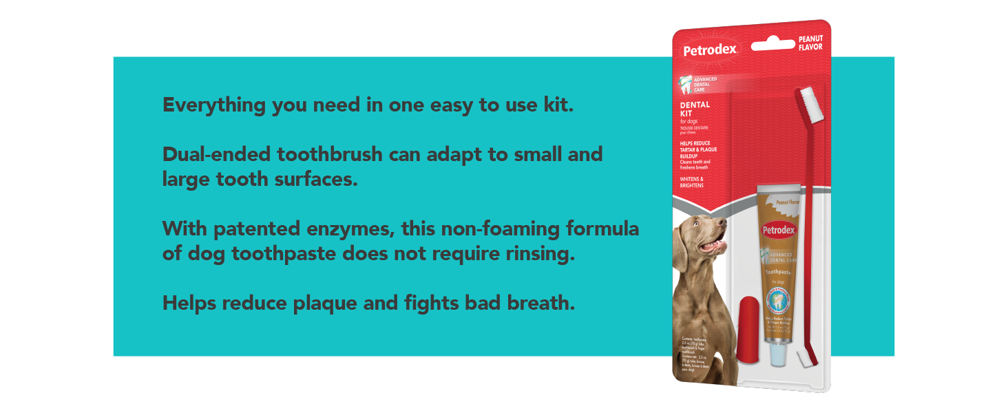 Dental kit for dogs