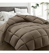 HYLEORY All Season Queen Size Bed Comforter - Cooling Down Alternative Quilted Duvet Insert with ...