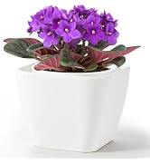 BUYMAX African Violet Flower Pot Easy Self Watering Planter, Self Watering Ceramic Planter Pots f...