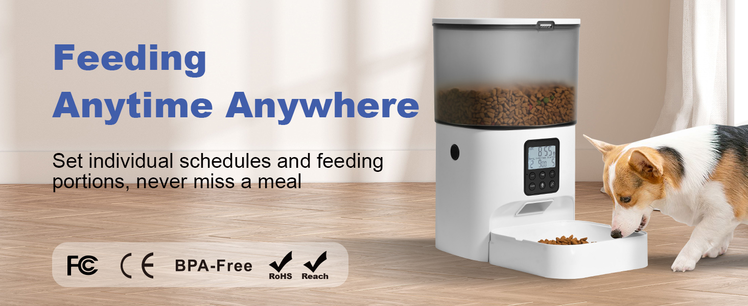 automatic cat feeder
