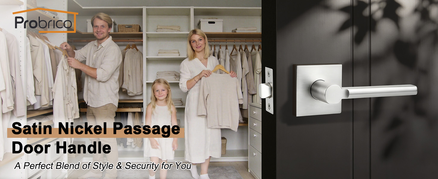 Nickel Passage Door Handle