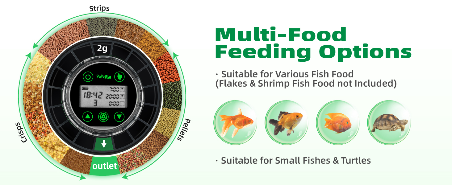 FISH FEEDER