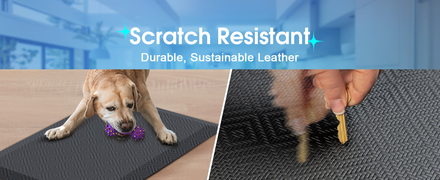 Scratch Resistant