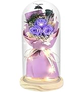 HVY Preserved Flower Bouquet Gift for Her,Forever Fresh Flowers for Delivery Prime Preserved Rose...