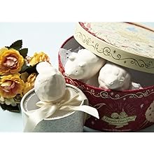stone diffuser ceramic essential oil non electric passive aromatherapy set aroma cute knickknack