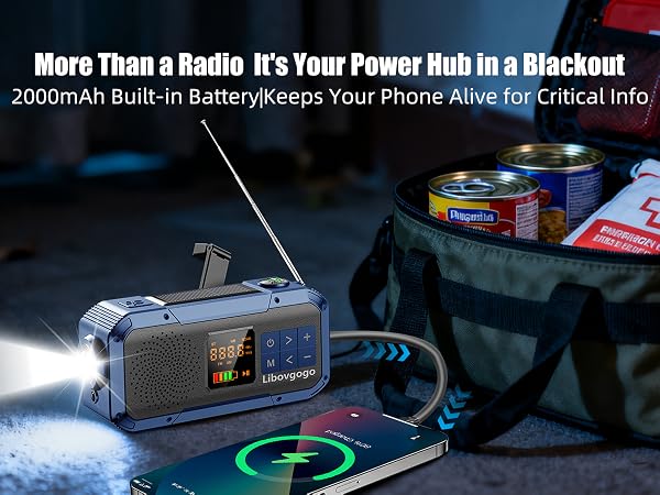 2000mAh battery charger