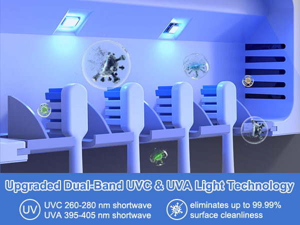 uv toothbrush sanitizer and holder