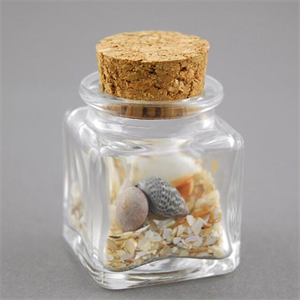 Dicunoy 20 PCS Glass Favor Jars with Cork Lids, 2oz Square Bottles for Herb Storage