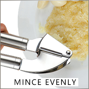 garlic press stainless steel