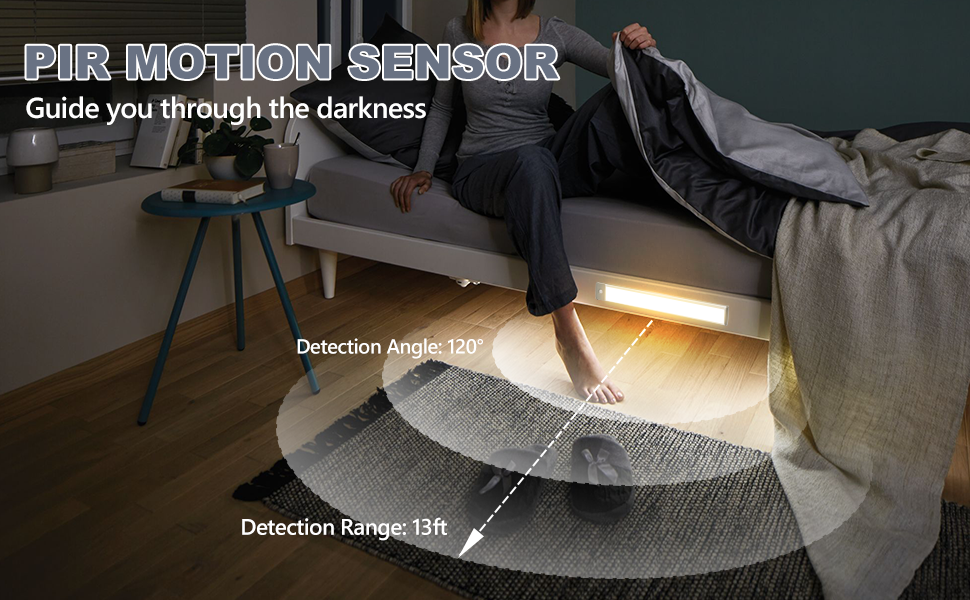 PIR Motion Sensor