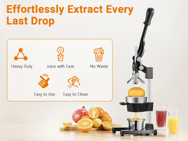 Pomegranate Juicer