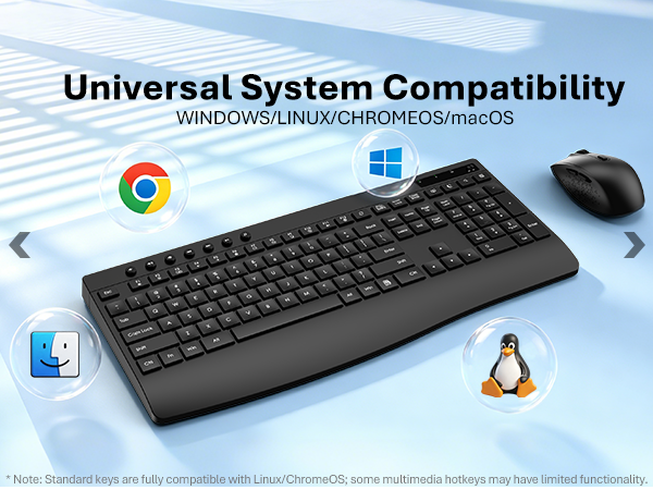 Universal System Compatibility