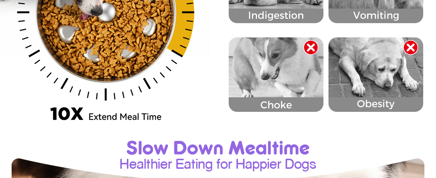 slow feeder dog bowls